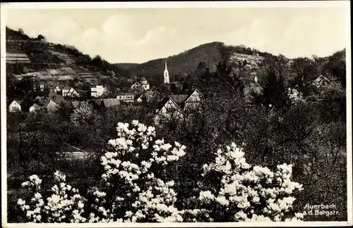 Ak Auerbach Bensheim an der Bergstraße Hessen, Teilansicht