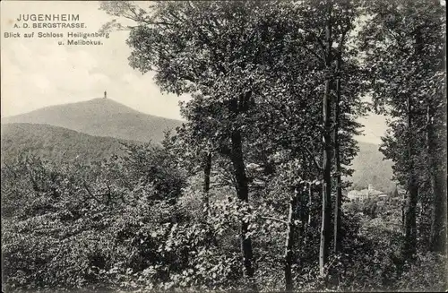 Ak Seeheim Jugenheim Hessen, Blick auf Schloss Heiligenberg, Melibokus