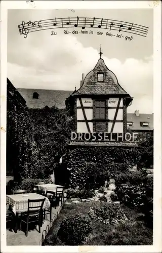 Lied Ak Rüdesheim Rhein, Der Drosselhof in der Drosselgasse