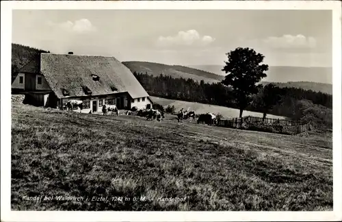 Ak Waldkich im Schwarzwald, Kandelhof, Kandel