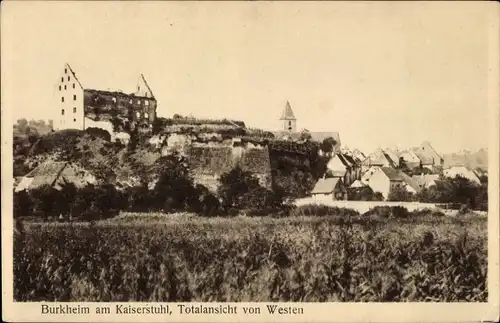 Ak Burkheim Vogtsburg im Kaiserstuhl, Teilansicht