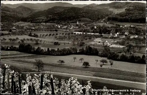 Ak Bollschweil Schwarzwald, Panorama, Ortschaft, Weinfelder