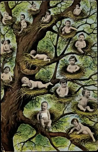 Ak Kleinkinder in Vogelnestern auf einem Baum, Fotomontage