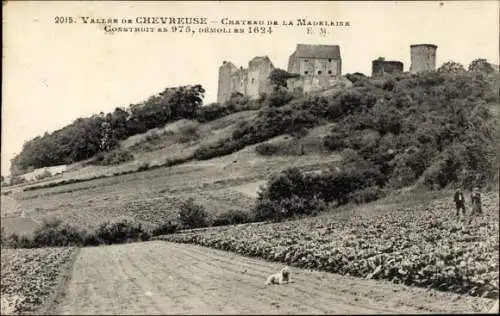 Ak Chevreuse Yvelines, Chateau de la Madeleine, La Vallee a Chevreuse