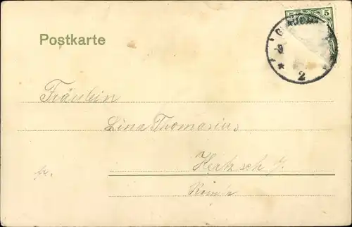 Ak Glauchau in Sachsen, Boote am Gründelteich