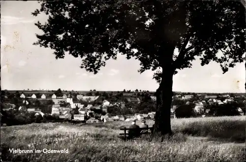 Ak Vielbrunn Michelstadt im Odenwald, Teilansicht