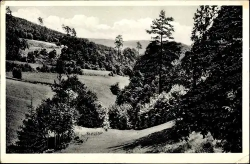 Ak Vielbrunn Michelstadt im Odenwald, Landschaftsbild