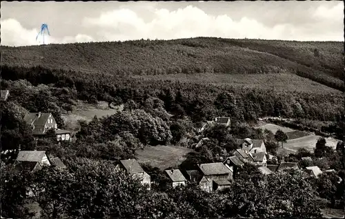 Ak Vielbrunn Michelstadt im Odenwald, Odenwaldheim, Teilansicht