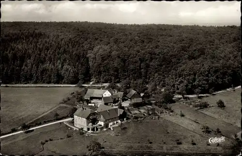 Ak Bremhof Vielbrunn Michelstadt im Odenwald, Gasthof, Wald