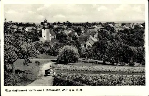 Ak Vielbrunn Michelstadt im Odenwald, Teilansicht