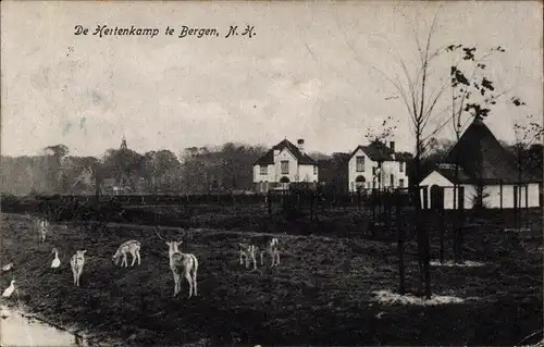 Ak Bergen Nordholland Niederlande, De Hertenkamp