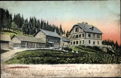 Ak Niederösterreich, Alpenhotel auf dem Sonnwendstein