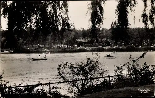 Ak Johannesburg Südafrika, The Zoo Lake, Ruderboote