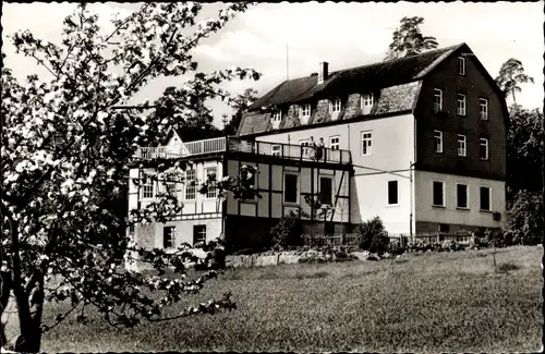 Ak Michelstadt im Odenwald, Gasthof Waldhorn