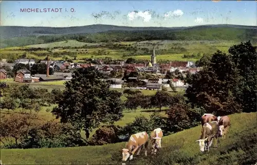 Ak Michelstadt im Odenwald, Totale, weidende Kühe