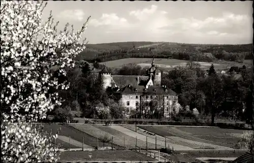 Ak Michelstadt im Odenwald, Marktbrunnen, Schloss Fürstenau