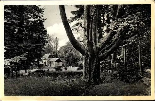 Ak Vielbrunn Michelstadt im Odenwald, Höhenluftkurort Hainhaus