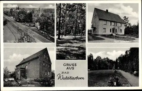 Ak Bad Waldliesborn Lippstadt in Westfalen, Haus Heitzig, Haus Hubertus, Kurpark, Hauptstraße 