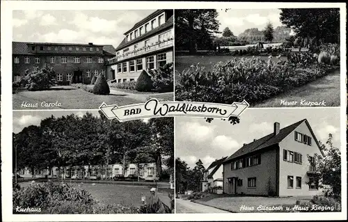 Ak Bad Waldliesborn Lippstadt in Westfalen, Haus Carola, Haus Elisabeth, Haus Rieging, Kurpark