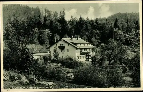 Ak Geigant Waldmünchen Oberfpälzer Wald, Fremdenheim Rosshof