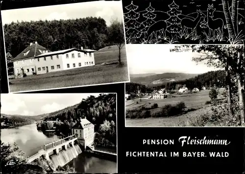Ak Fichtental Prackenbach, Pension Fleischmann, Reh