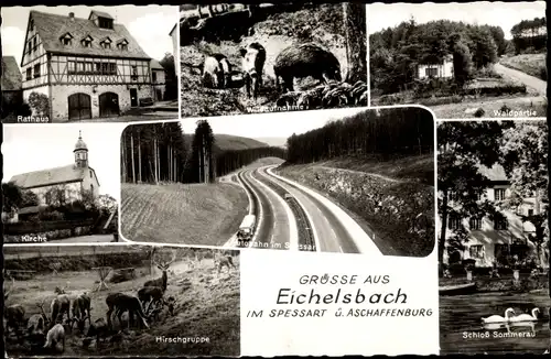 Ak Eichelsbach Elsenfeld in Unterfranken, Schloss Sommerau, Wald, Gasthaus, Rathaus, Kirche