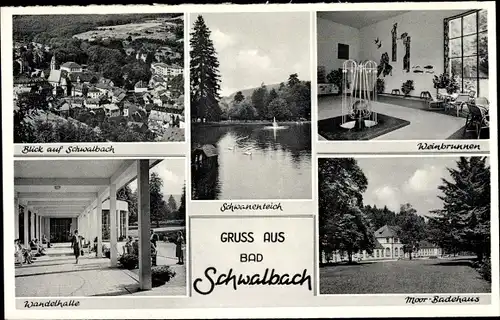 Ak Bad Schwalbach im Taunus, Ort, Badehaus, Wandelhalle, Weinbrunnen, Schwanenteich