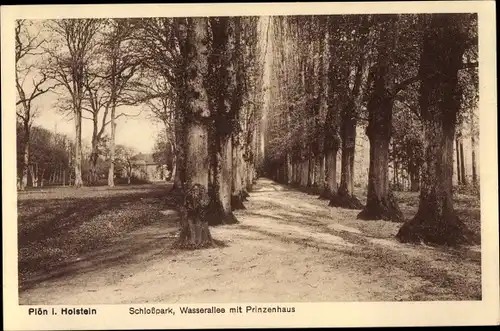 Ak Plön in Holstein, Schlosspark, Wasserallee mit Prinzenhaus