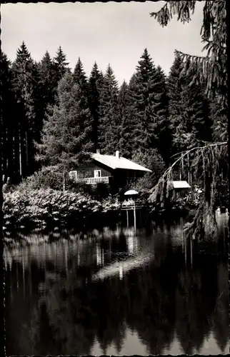 Ak Bayerisch Eisenstein im Bayrischen Wald, Café Schwellhäusl, Wald