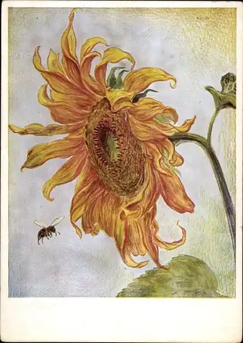 Künstler Ak Kühnle, Karl, Sonnenblume und Biene