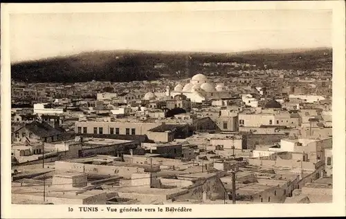 Ak Tunis Tunesien, Vue generale vers le Belvedere