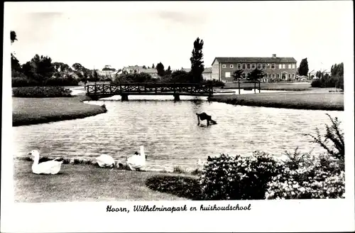 Ak Hoorn Nordholland Niederlande, Wilhelminapark en Huishoudschool, Schwäne