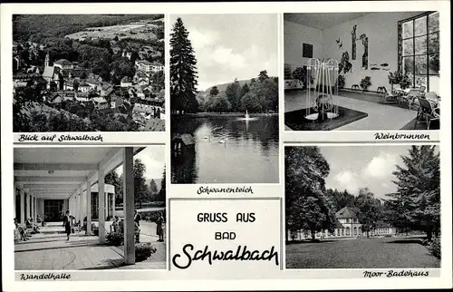 Ak Bad Schwalbach im Taunus, Ort, Badehaus, Wandelhalle, Weinbrunnen, Schwanenteich