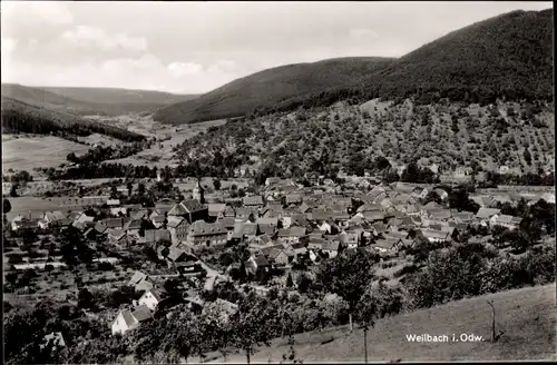 Ak Weilbach im Odenwald Unterfranken Bayern, Gesamtansicht