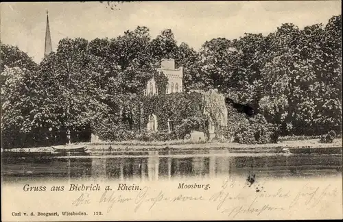 Ak Biebrich am Rhein Wiesbaden, Moosburg