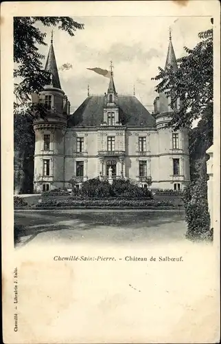 Ak Chemillé Saint Pierre Maine et Loire, Chateau de Salboeuf