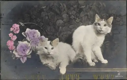 Ak Zwei Katzen, Blumenkorb