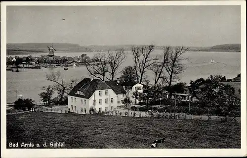 Ak Bad Arnis an der Schlei, Panorama, Windmühle