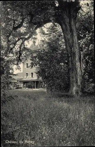 Ak Rolle Kanton Waadt, Chateau du Rosey, Institut de Jeunes Gens