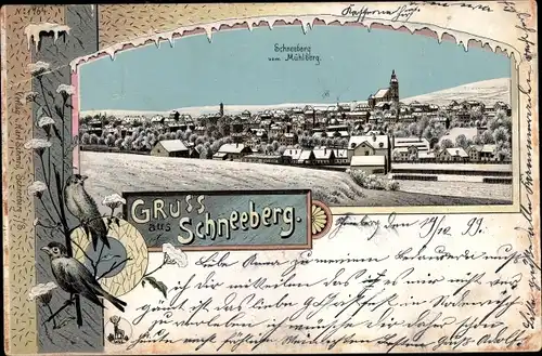 Winter Litho Schneeberg im Erzgebirge, Totalansicht vom Mühlberg aus, Vögel