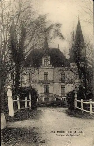 Ak Chemillé Maine et Loire, Chateau de Salboeuf