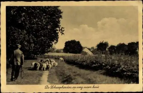 Ak Breda Nordbrabant Niederlande, Die Schaapherder op weg naar huis