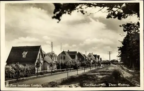 Ak Nordseebad Sankt Peter Ording, Ordinger Häuser am Wald