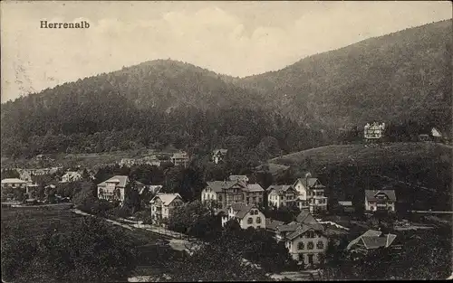 Ak Bad Herrenalb im Schwarzwald, Teilansicht