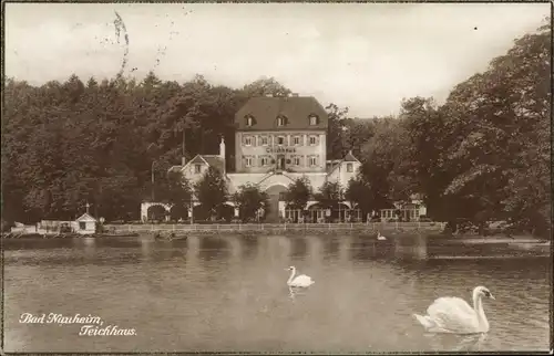 Ak Bad Nauheim in Hessen, Schwäne am Teichhaus