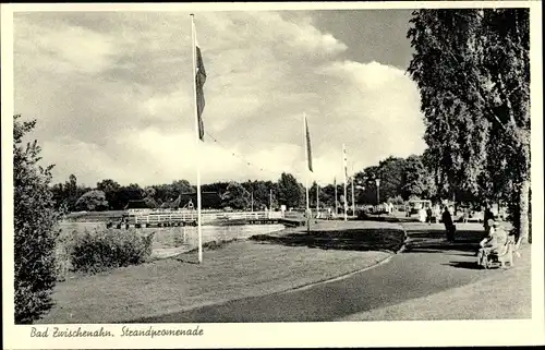 Ak Bad Zwischenahn in Oldenburg, Strandpromenade