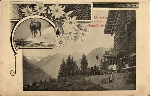 Ak Sennhütte in den Alpen, Edelweiß, Gemse