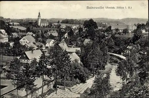 Ak Hainewalde Oberlausitz, Teilansicht