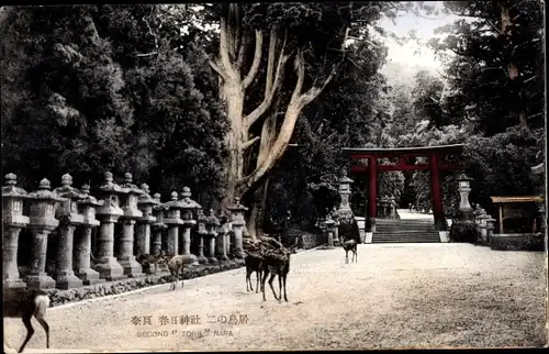 Ak Nara Präfektur Nara Japan, Rehe, Gartenpartie, Tor