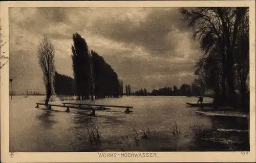 Ak Worms, Hochwasser, überschwemmte Landschaft, Bäume